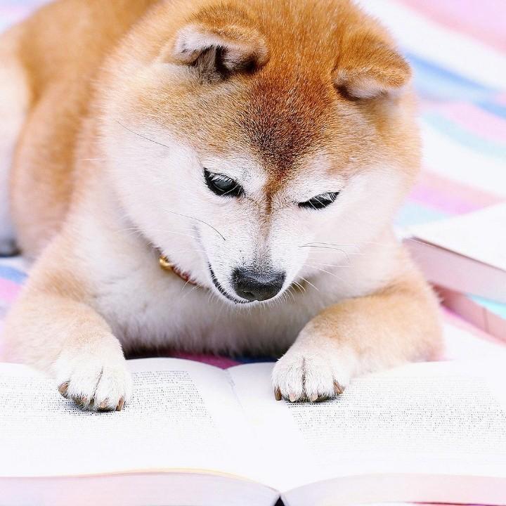一口常开