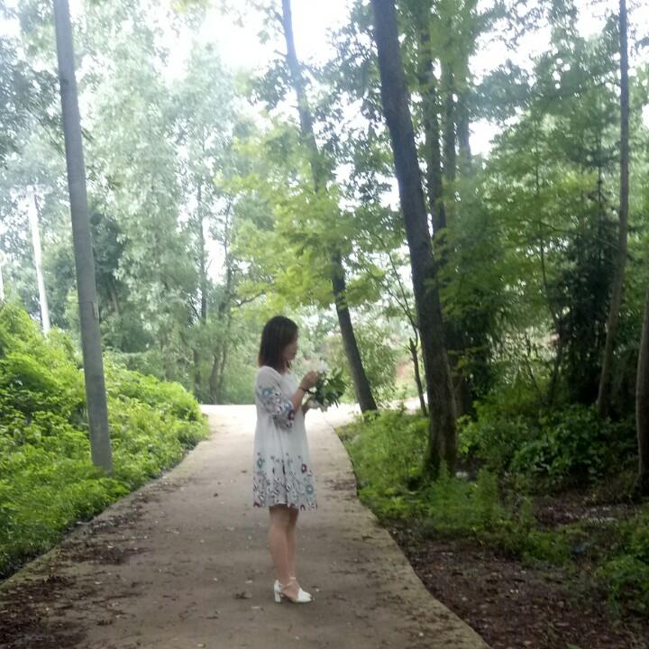 静等美好