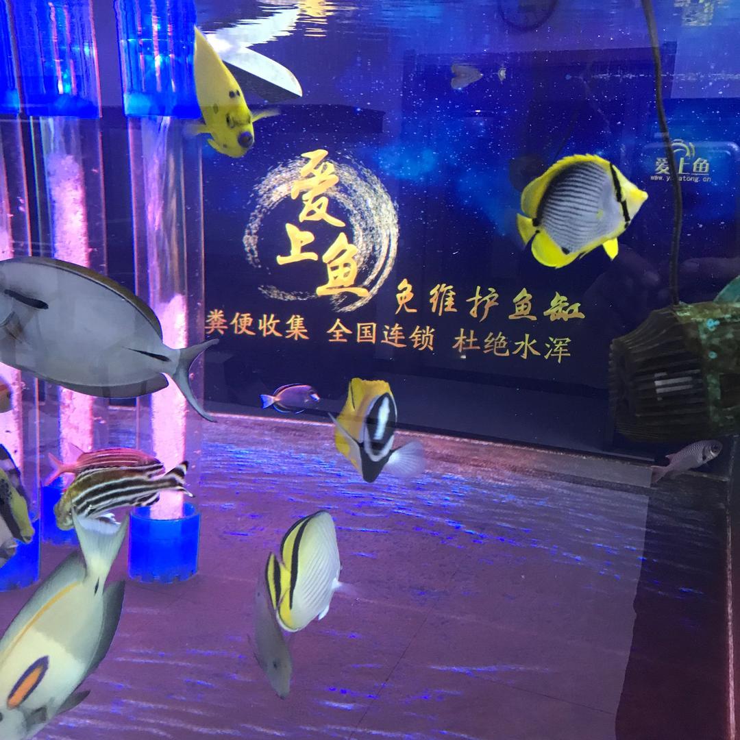 四平市爱上鱼水族用品有限公司