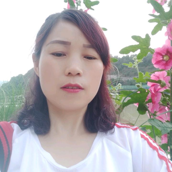 手机用户86031645480