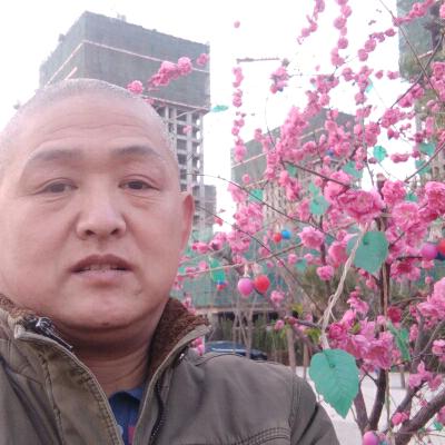 平平安安