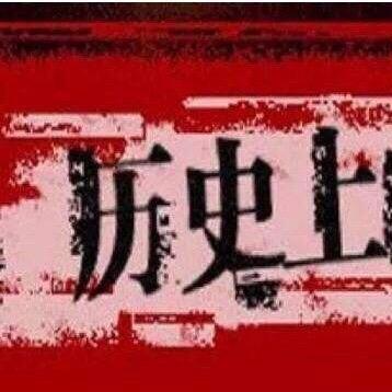 武丽