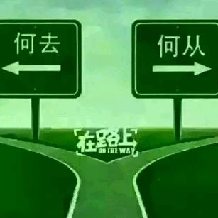 何去何从
