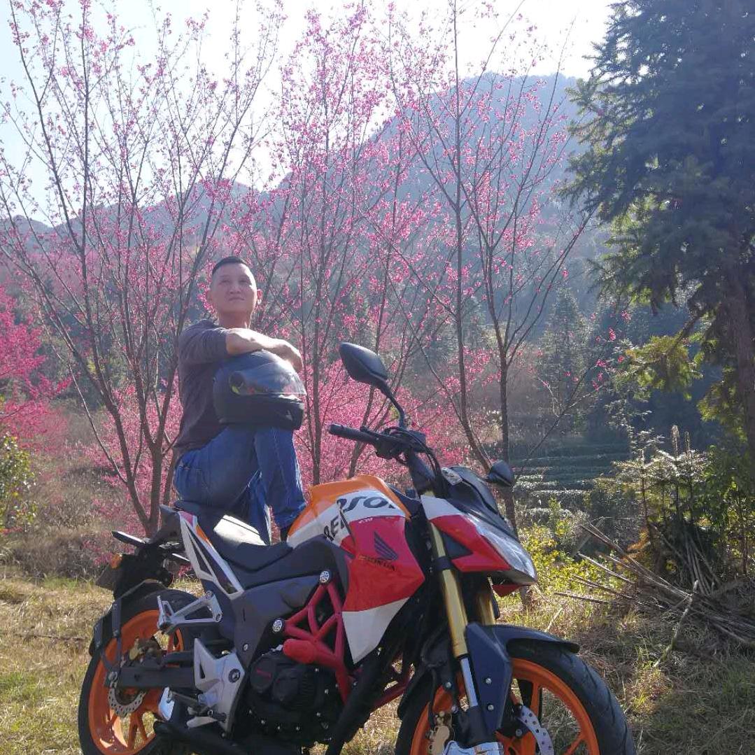 养鱼