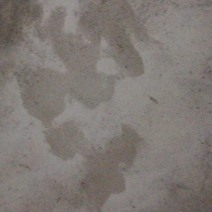鯟鱜