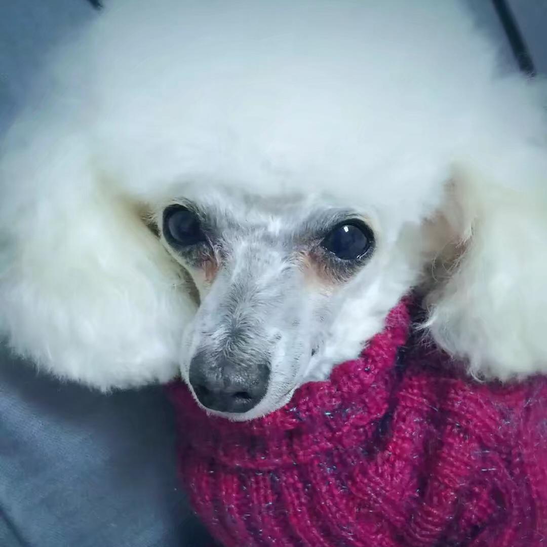 宠💞愛一生🎀