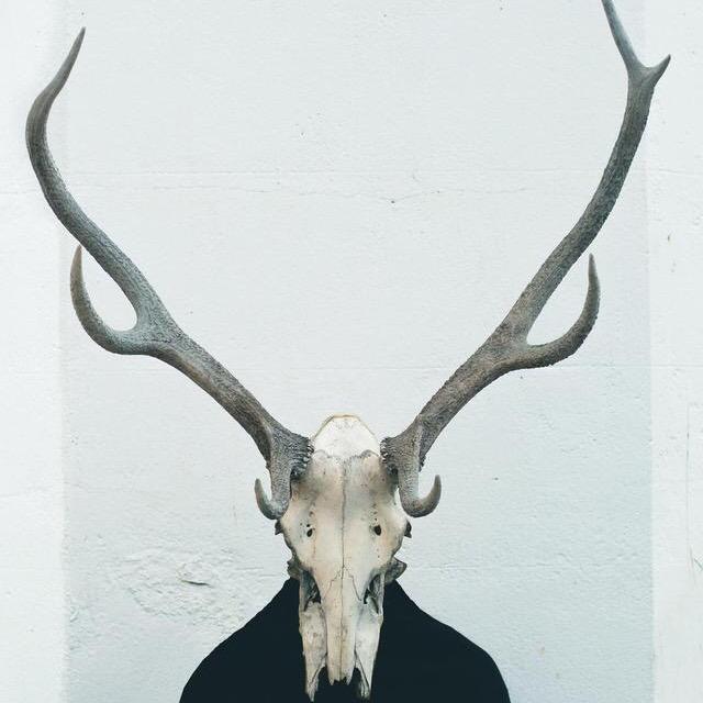 鹿勋