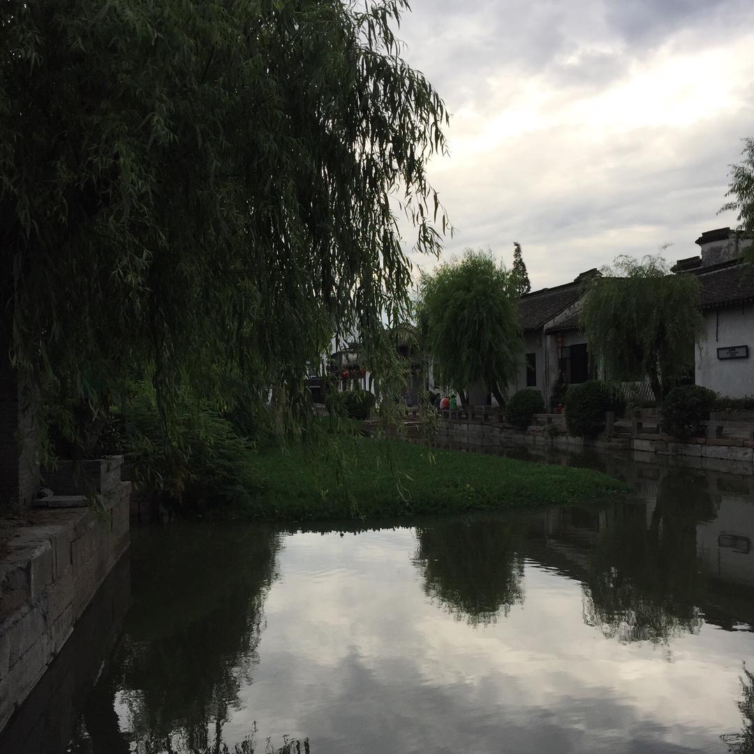淋过雨的风