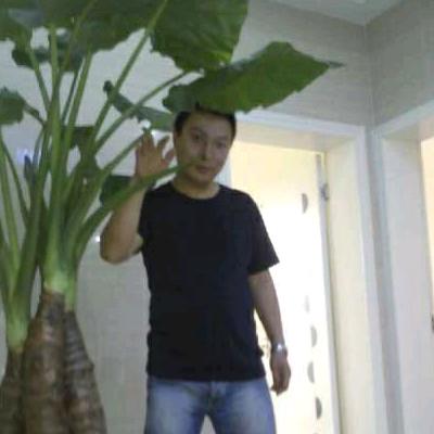 伟
