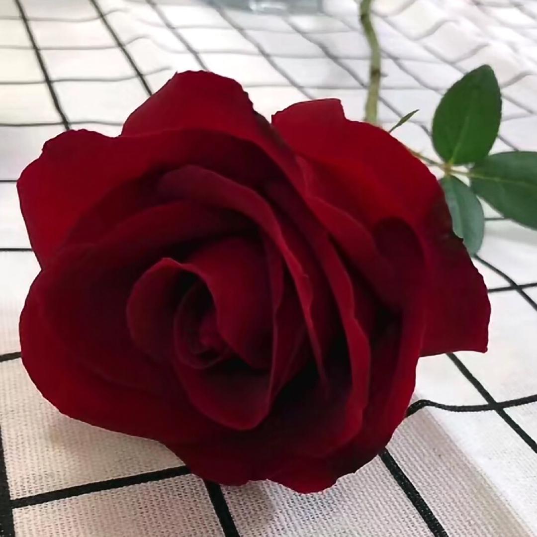 素颜