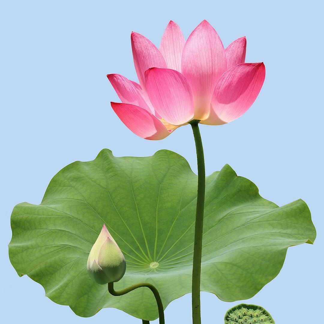 高平四方通讯