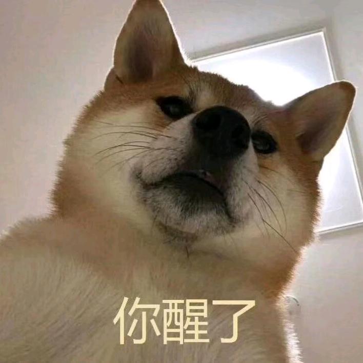 我家猫不知道哪去了