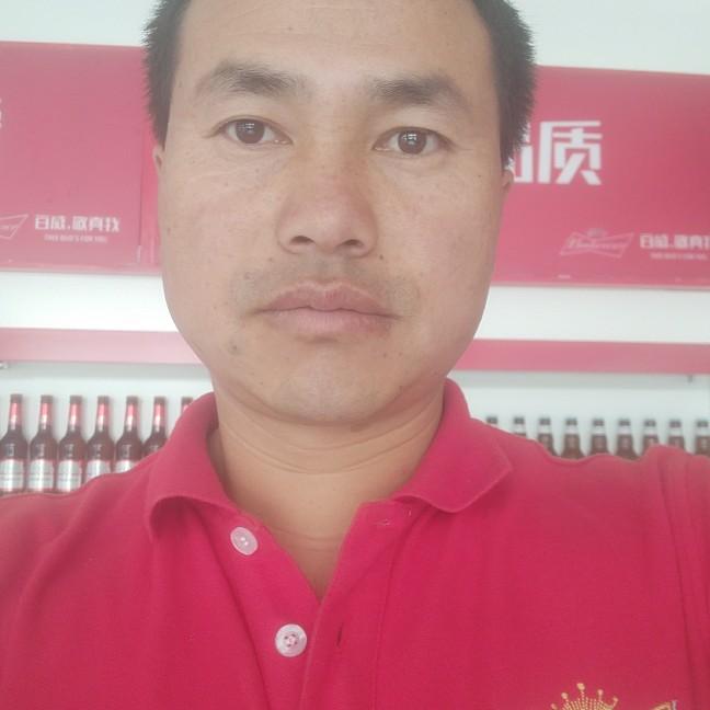 也许明天
