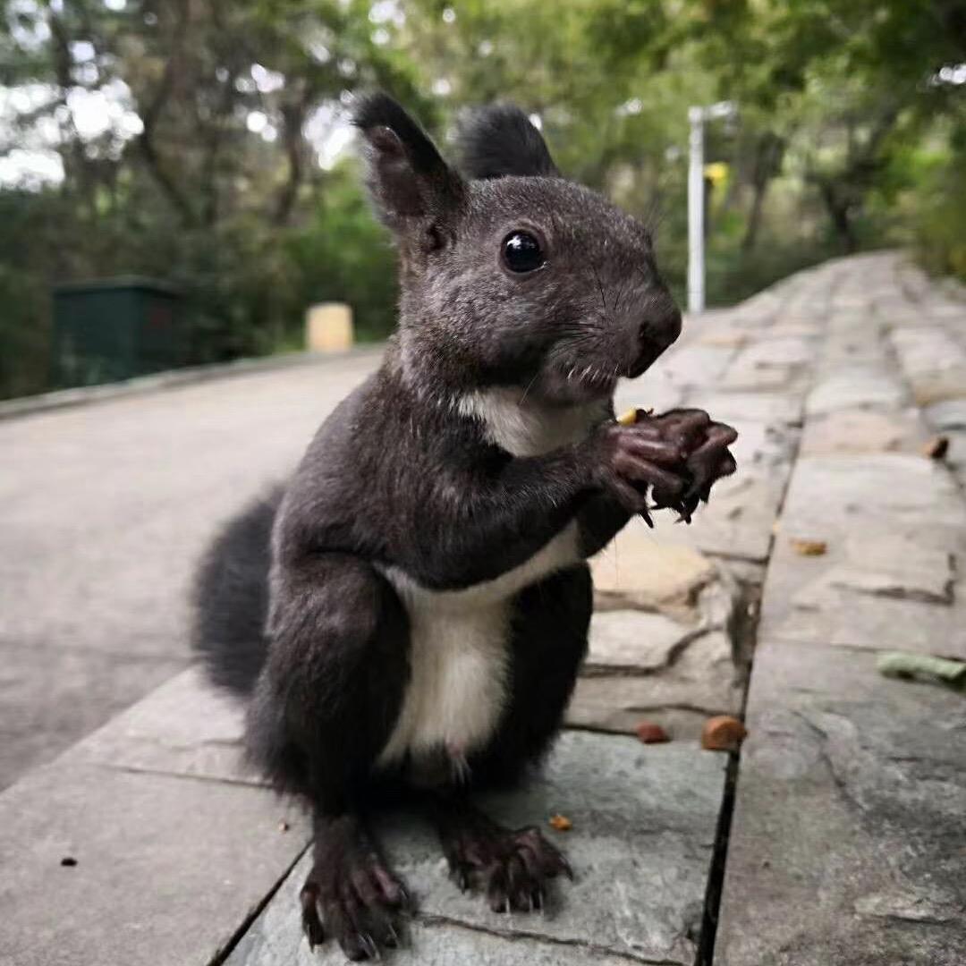 山西柒柒体育文化有限公司