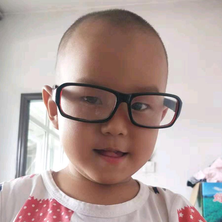 刘海龙