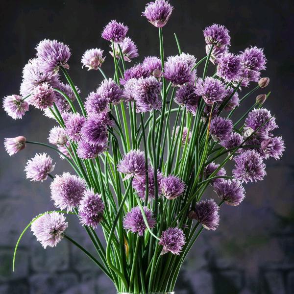 ✔殡仪《化妆师》小云