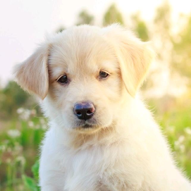 ↠守住⒈份堅持°