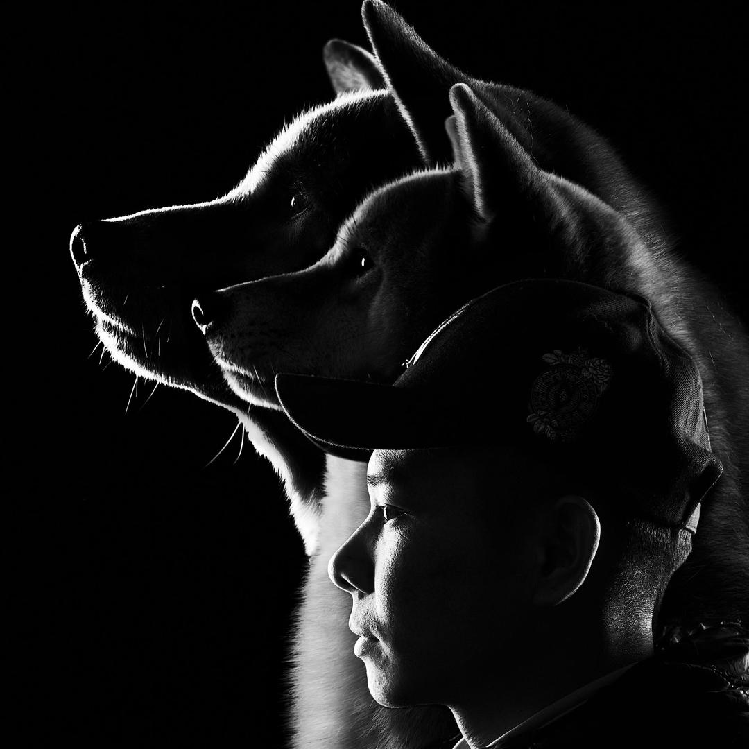 崔华彬-财运道柴犬俱乐部