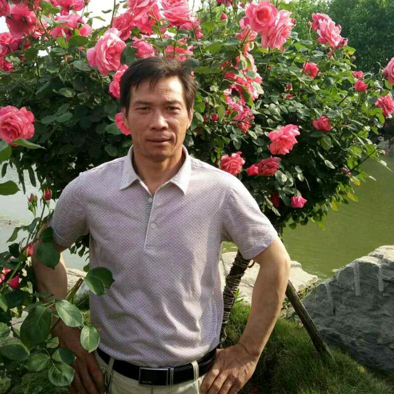 称心如意