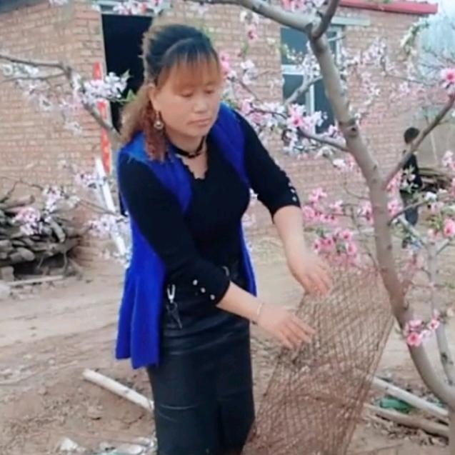 金戈舞红袖（拒私聊）不为交友。只为快乐。