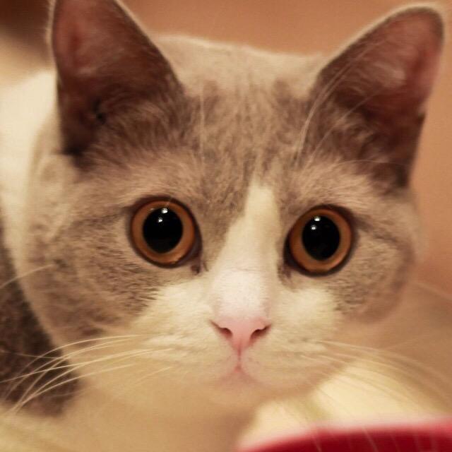 乌鲁木齐一往琴声吉他社