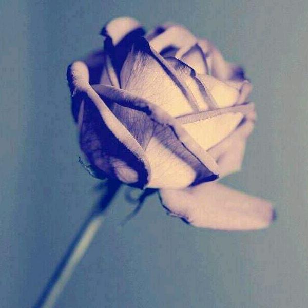 永济市南城大本营冷饮批发部