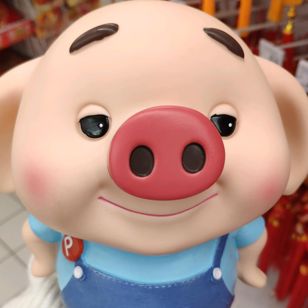 杨小宝