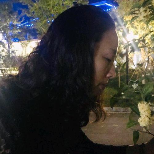 月季花(橱窗好物）