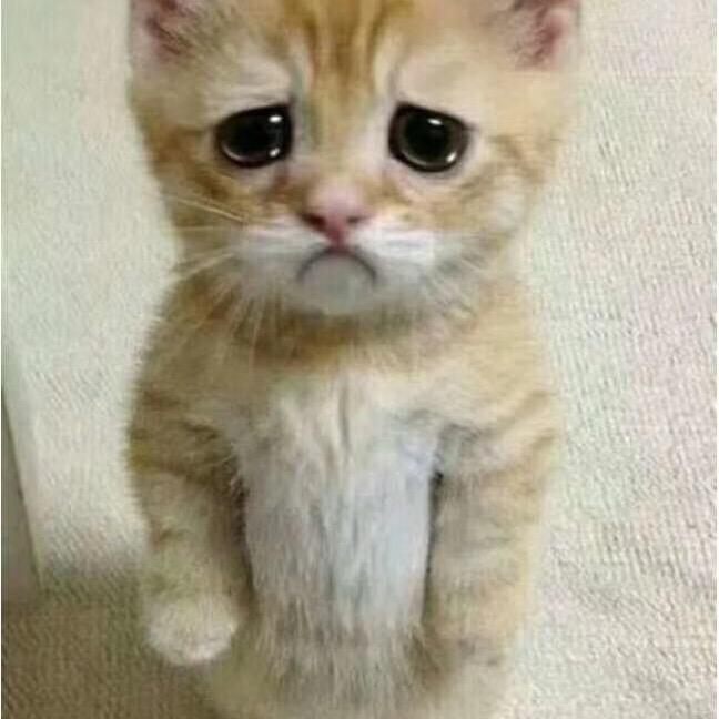 萍水🌺相逢💐