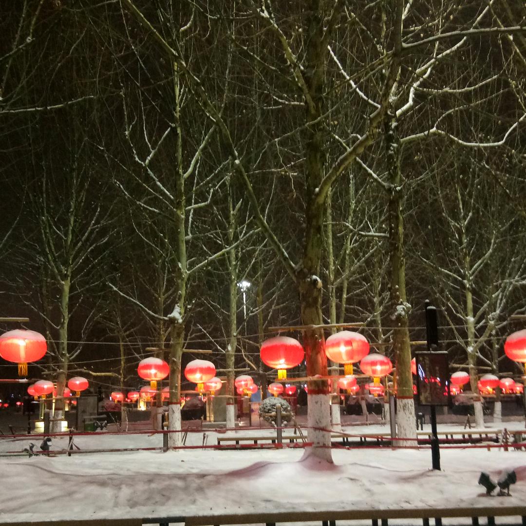 兰花惊艳   钢铁霞