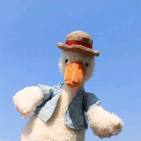 取个名字不容易