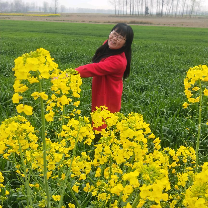 锦墨倾城