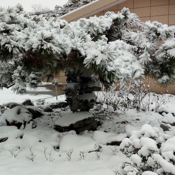 淡然