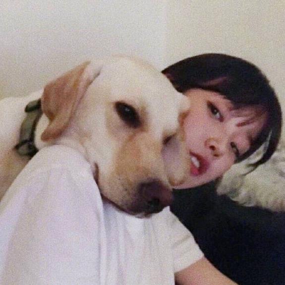 要加多多的香菜