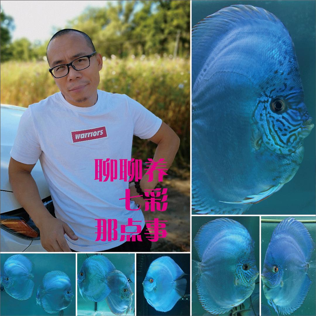 昌平UP七彩神仙