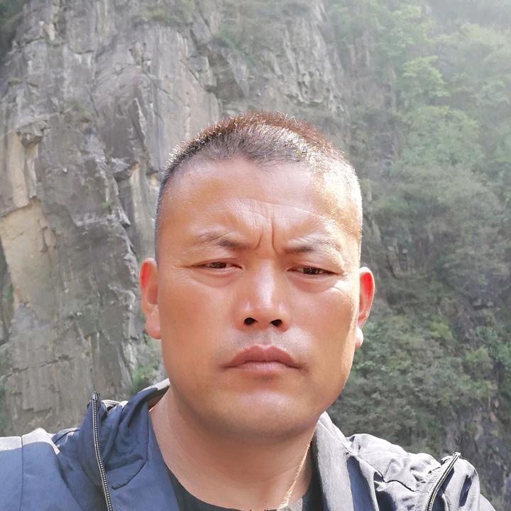 明天更好专业红薯苗