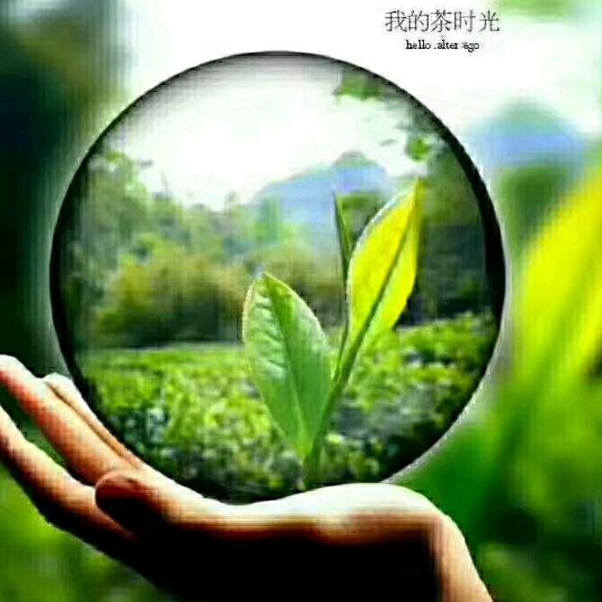 钰溪茶庄