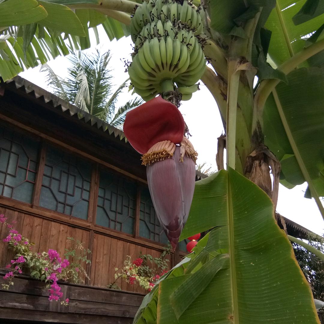 心静如水