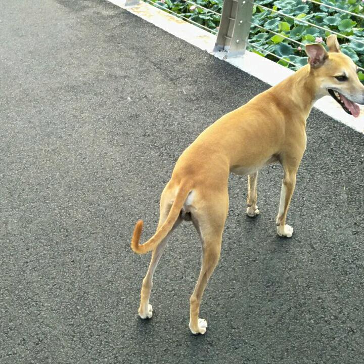 罗姐~
