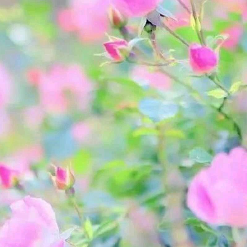晨霞💖💖