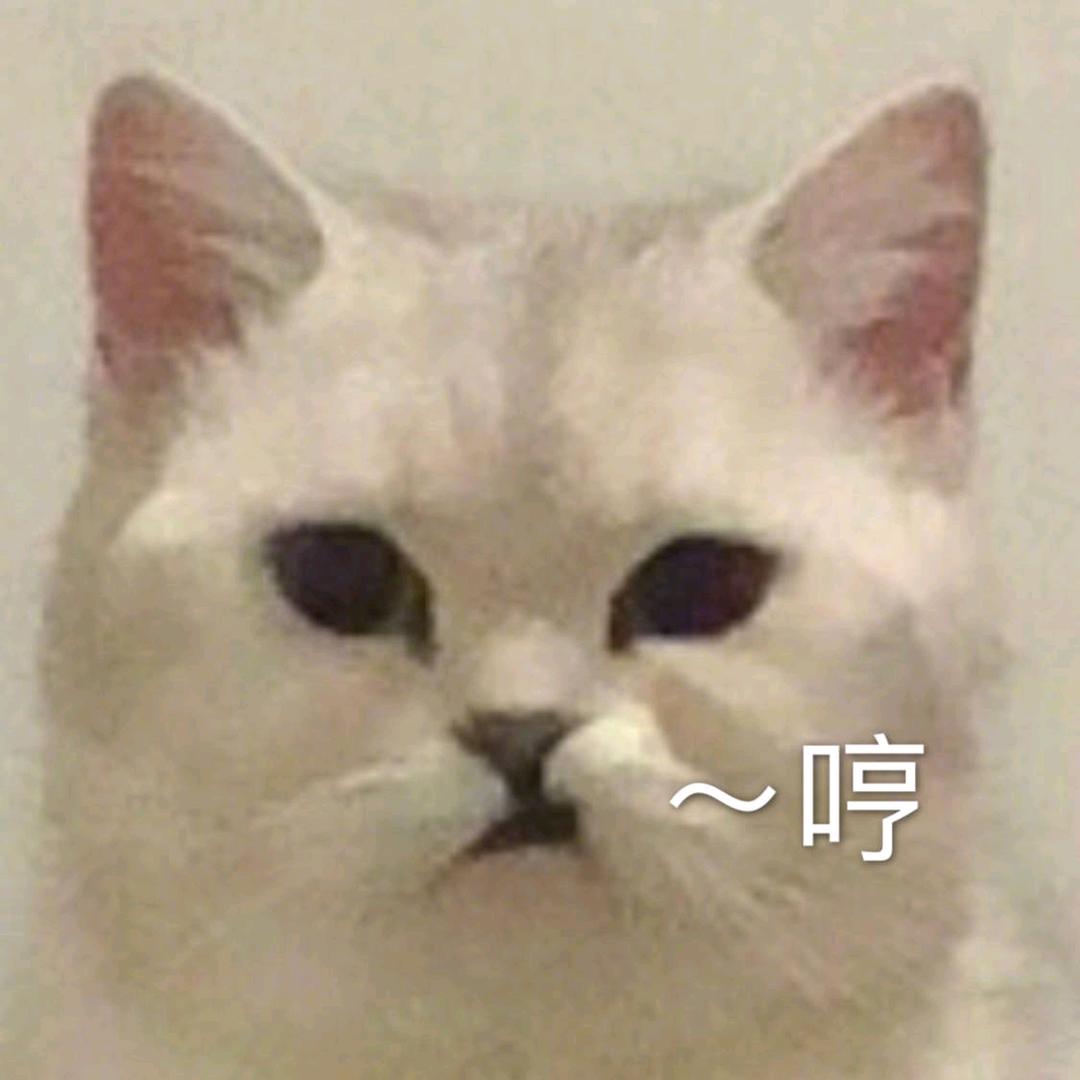 小丶的恬