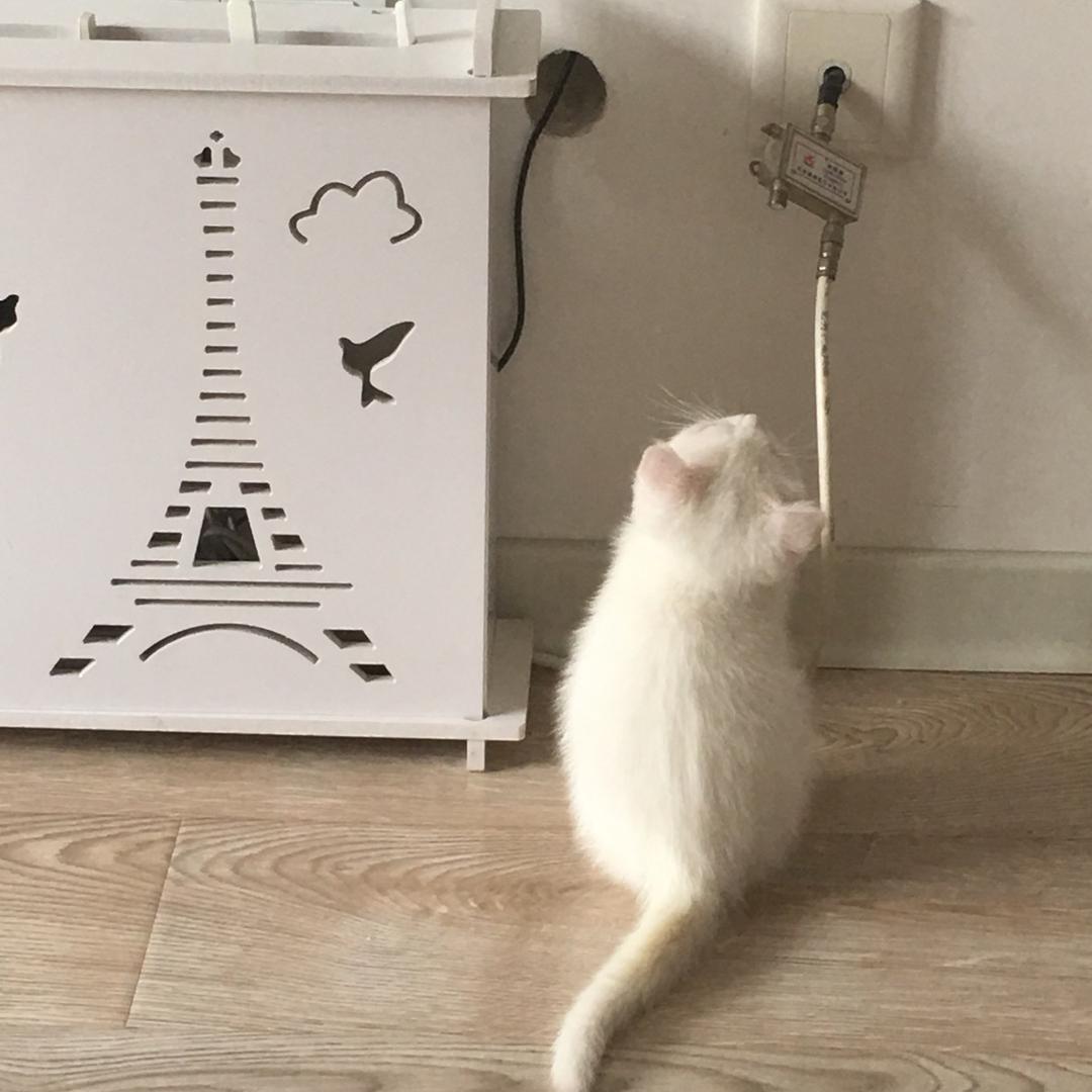 🌈米唐⁹²⁴⁰