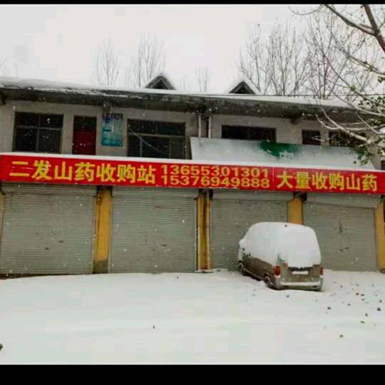 二发山药代收站