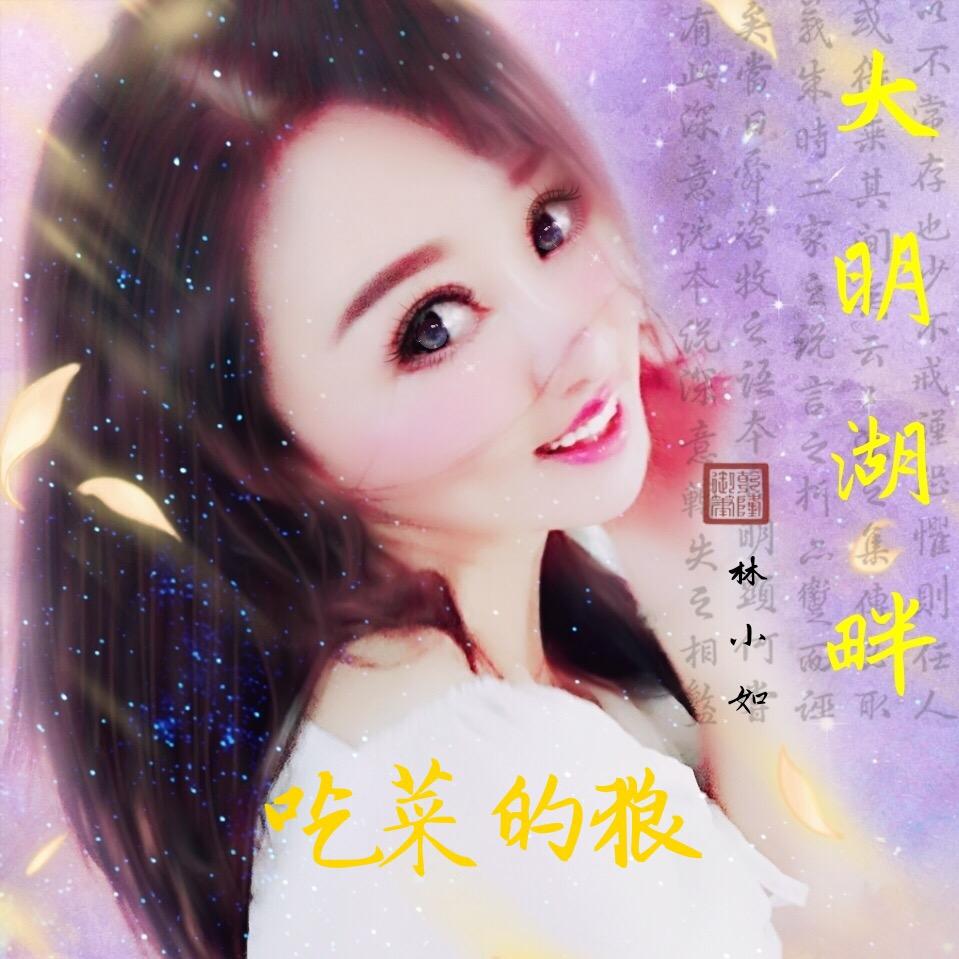 大明湖畔~吃菜的狼