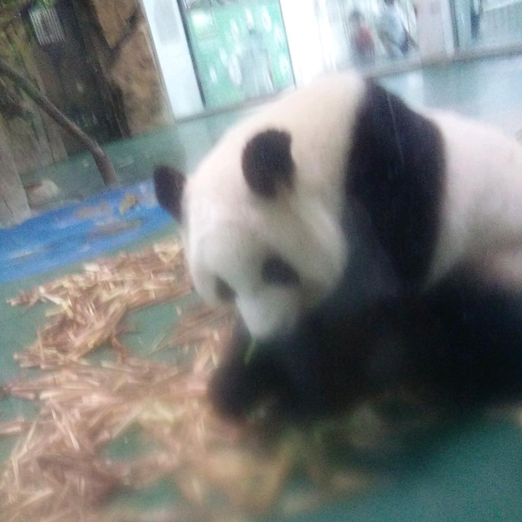 秀秀