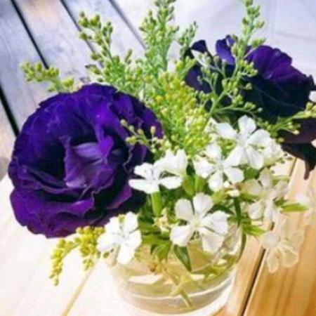 淡淡的清香💐