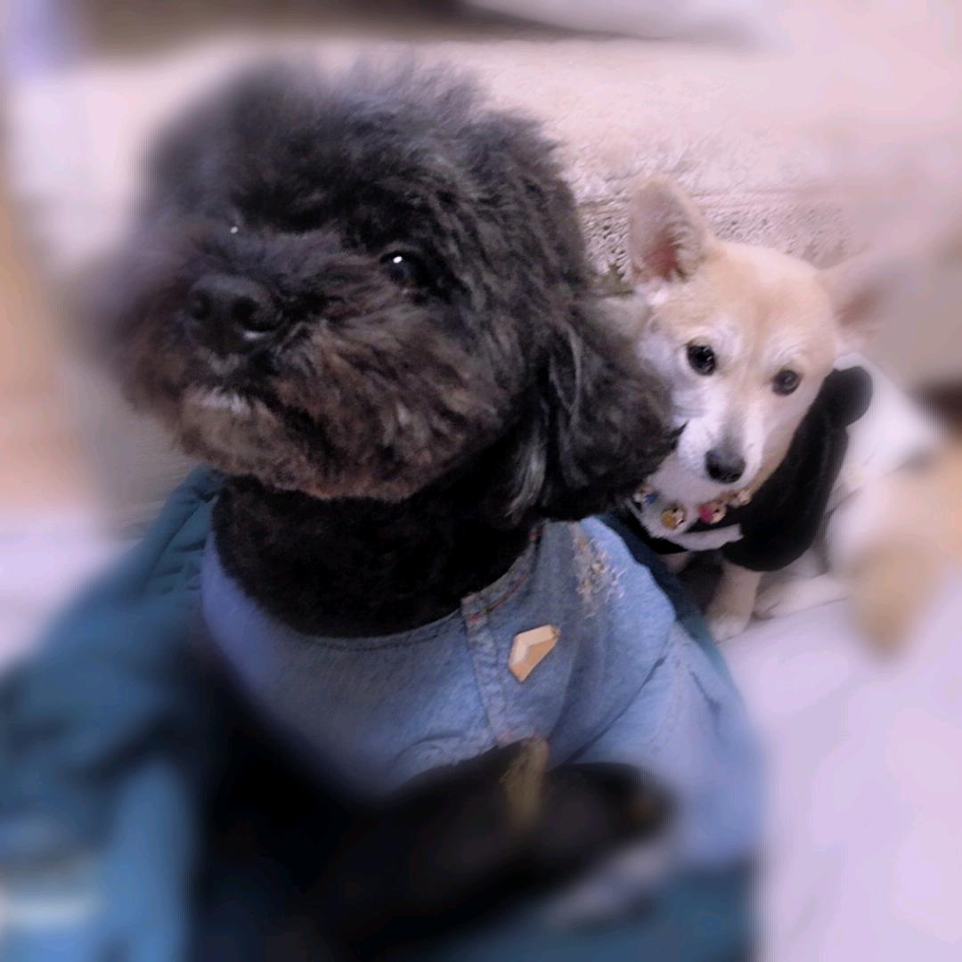 静