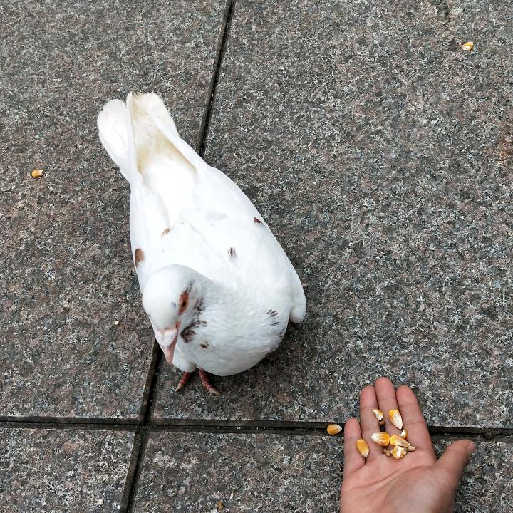 湖北女孩嫁浙江（在非洲打工）^_^