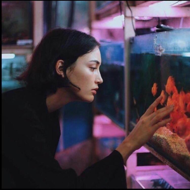 噼里啪啦哩