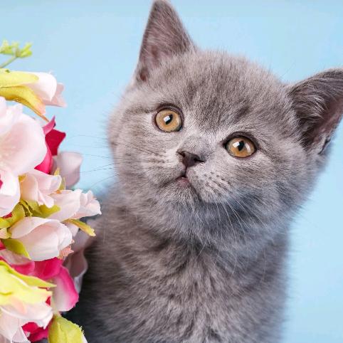 江南烟雨中的回忆